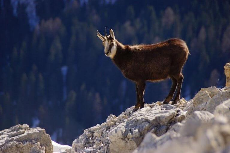 Apartaments Sort Pirineus Luaran gambar
