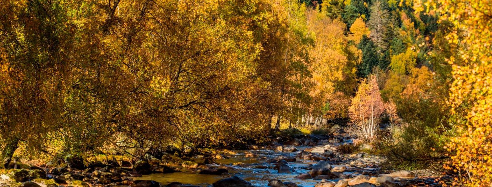 Apartaments Sort Pirineus Luaran gambar