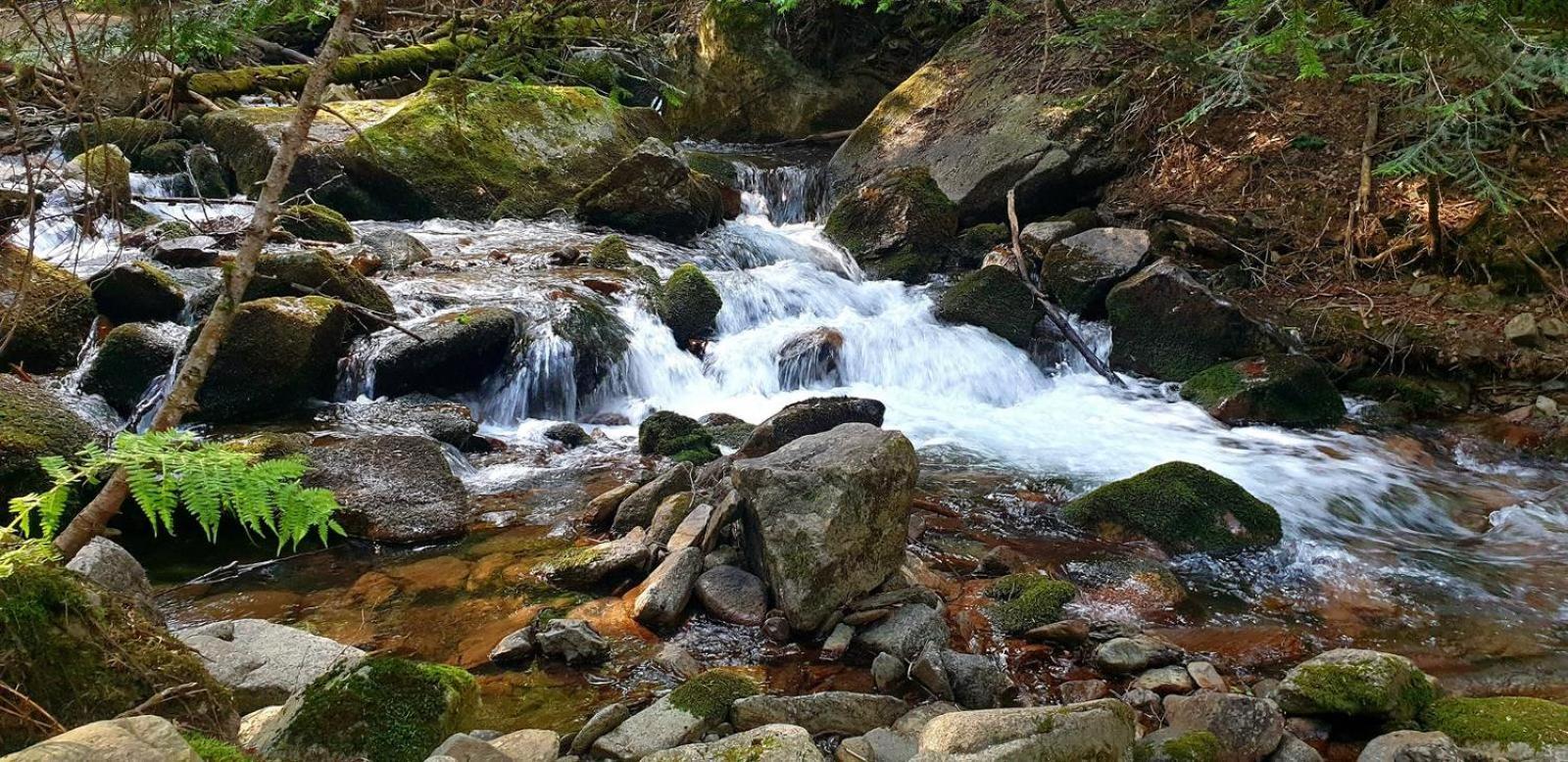 Apartaments Sort Pirineus Luaran gambar